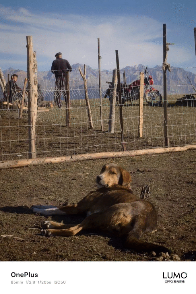 OnePlus 15 OnePlus 15 Camera Performance Glimpse Leaked Ahead of Launch; Here are Three Different Pictures